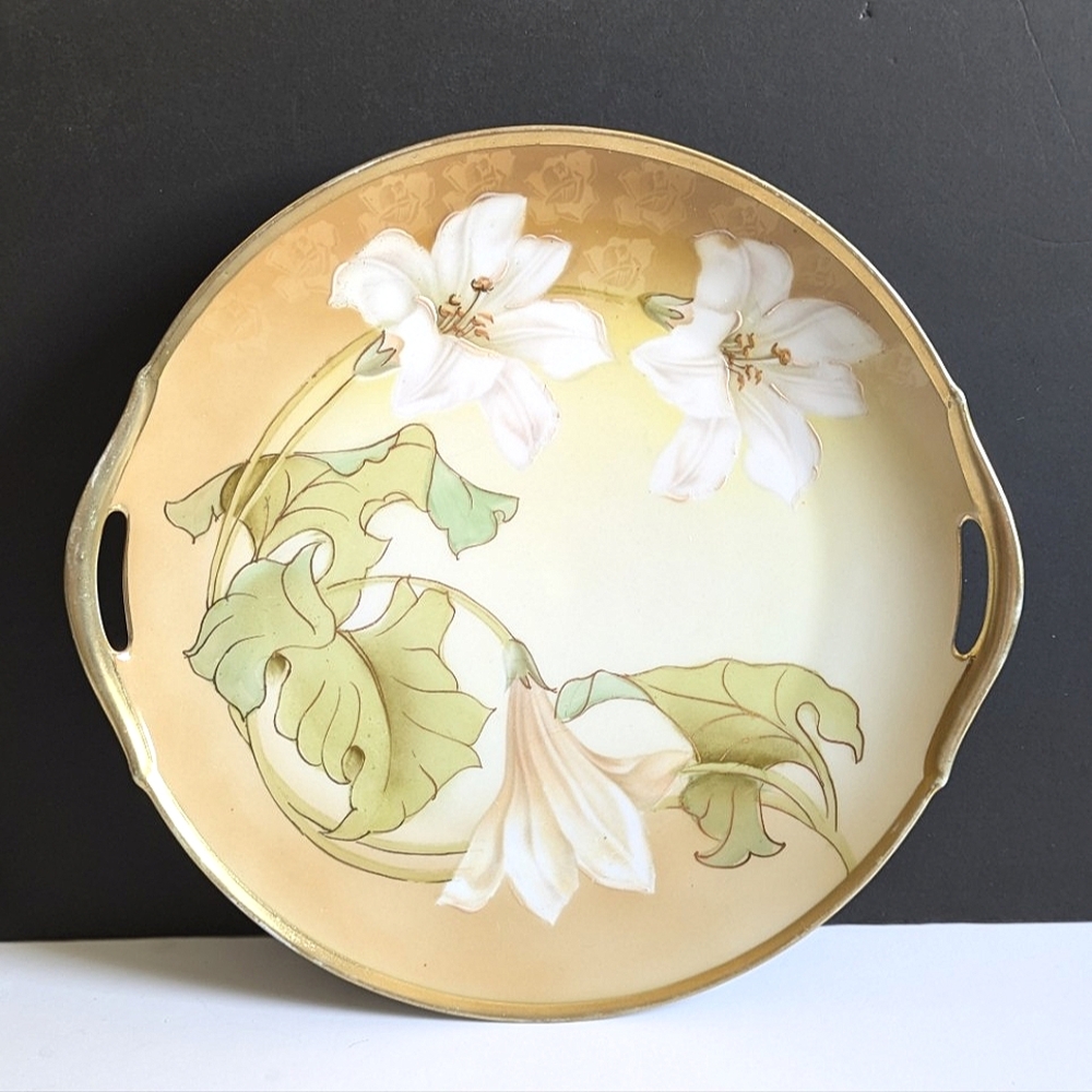 Vintage Porcelain Plate Hand Painted Flowers R.S. Tillowitz Germany Gorgeous